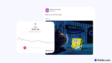 Stock Charts by Public.com gallery image