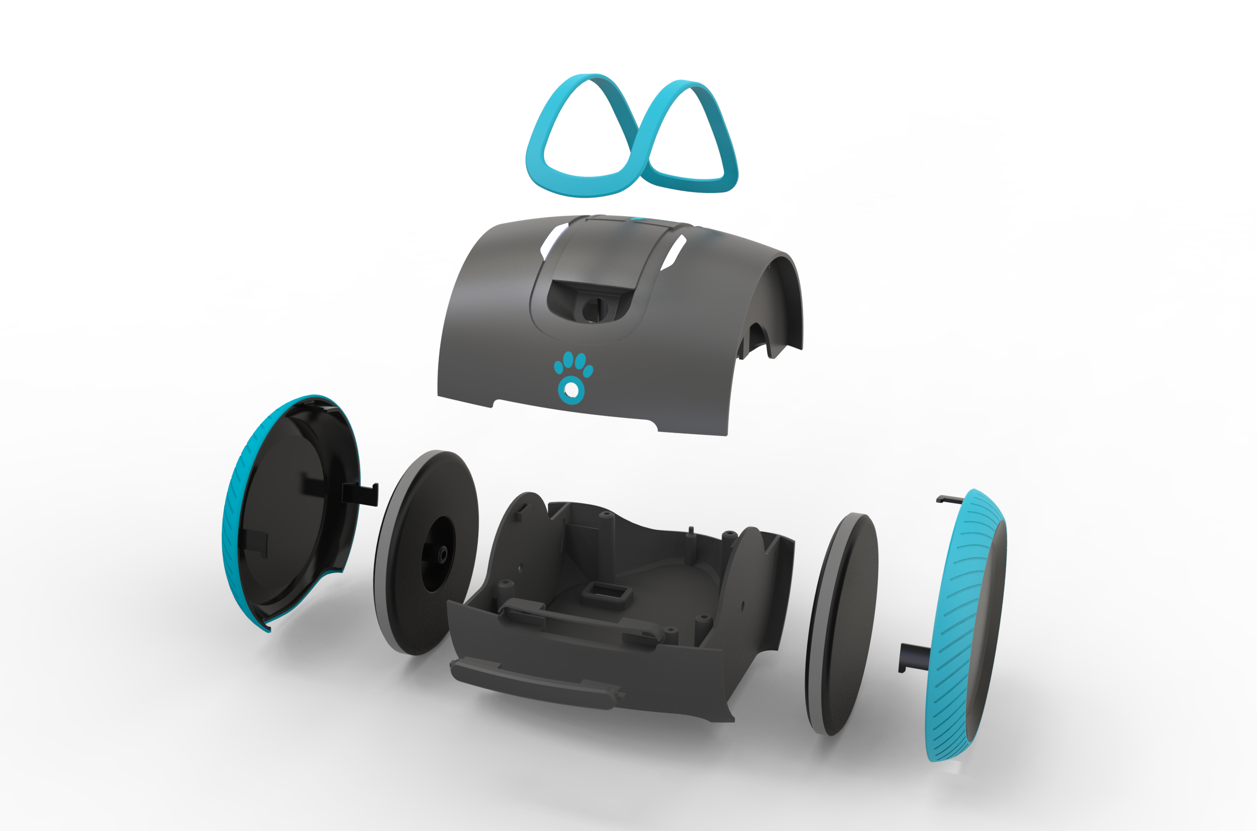 Laïka gallery image