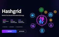 Hashgrid — Neural Information Exchange