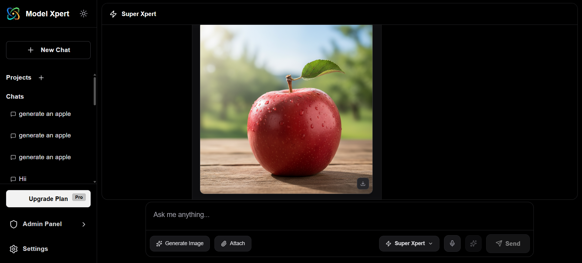 Model Xpert gallery image