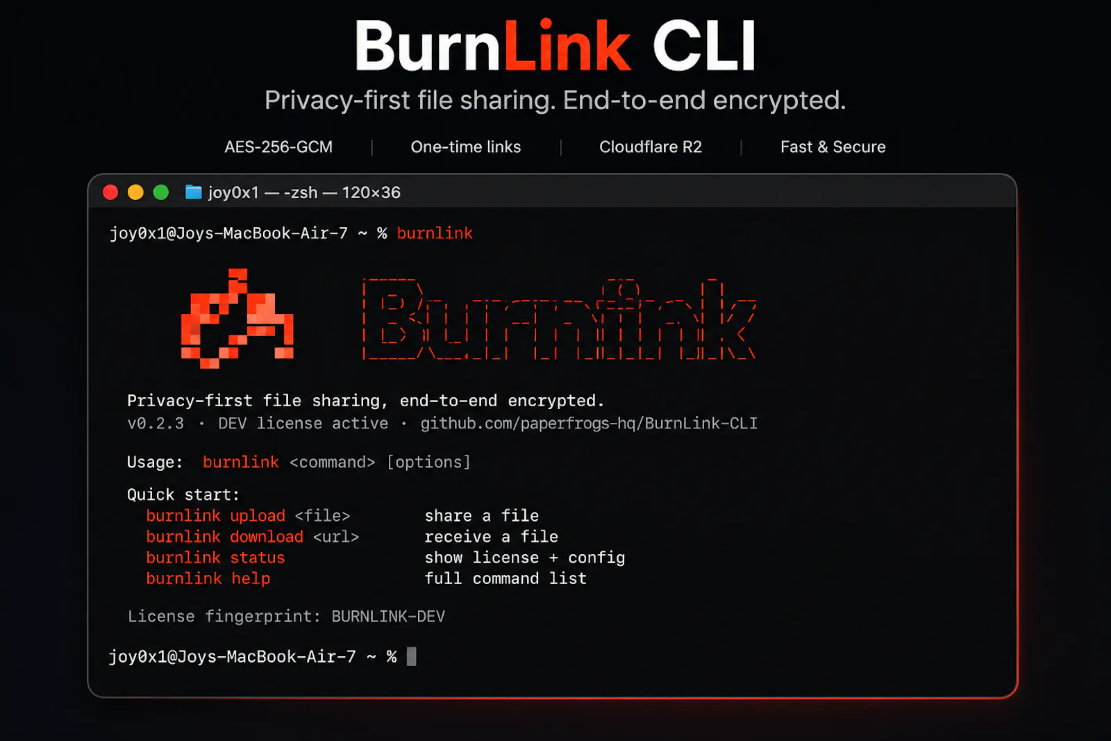 BurnLink CLI screenshot 1