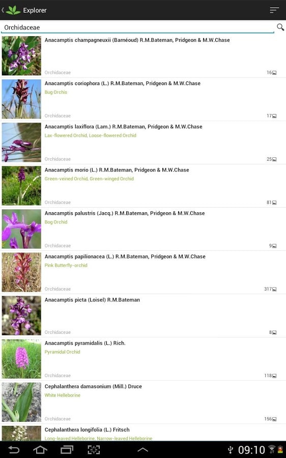 PlantNet gallery image