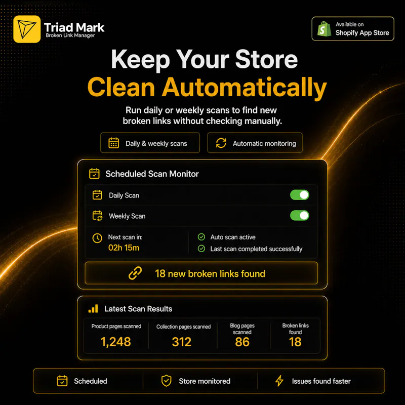 TM AI Broken Link Manager screenshot 2