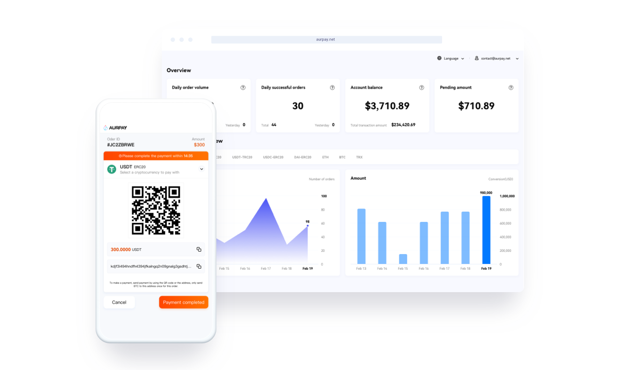 Aurpay media 1