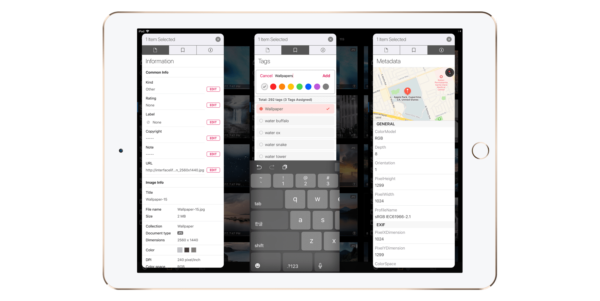 Pixave for iPad gallery image