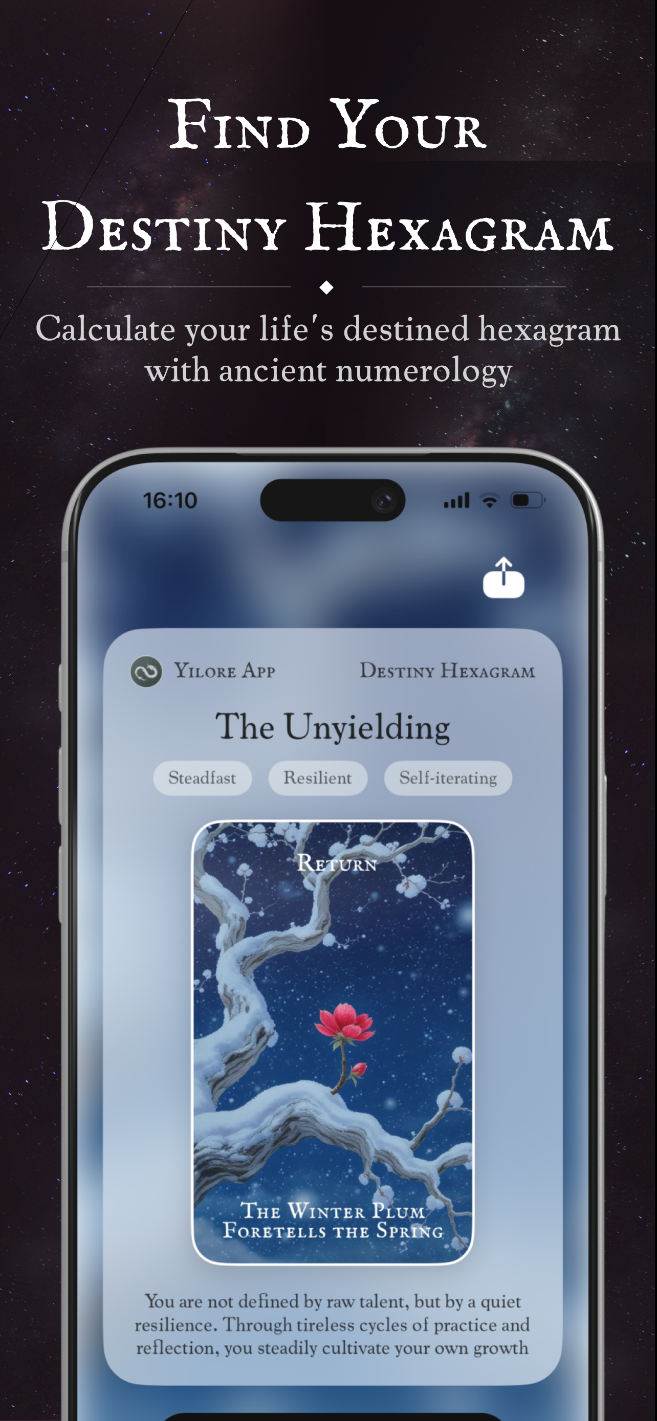 Yilore gallery image