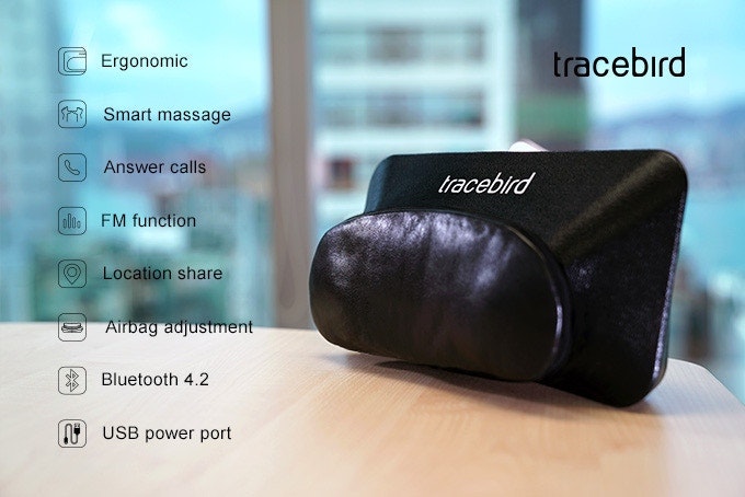 Tracebird Smart Pillow gallery image