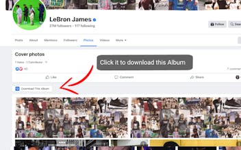 Download Albums for Facebook™ gallery image