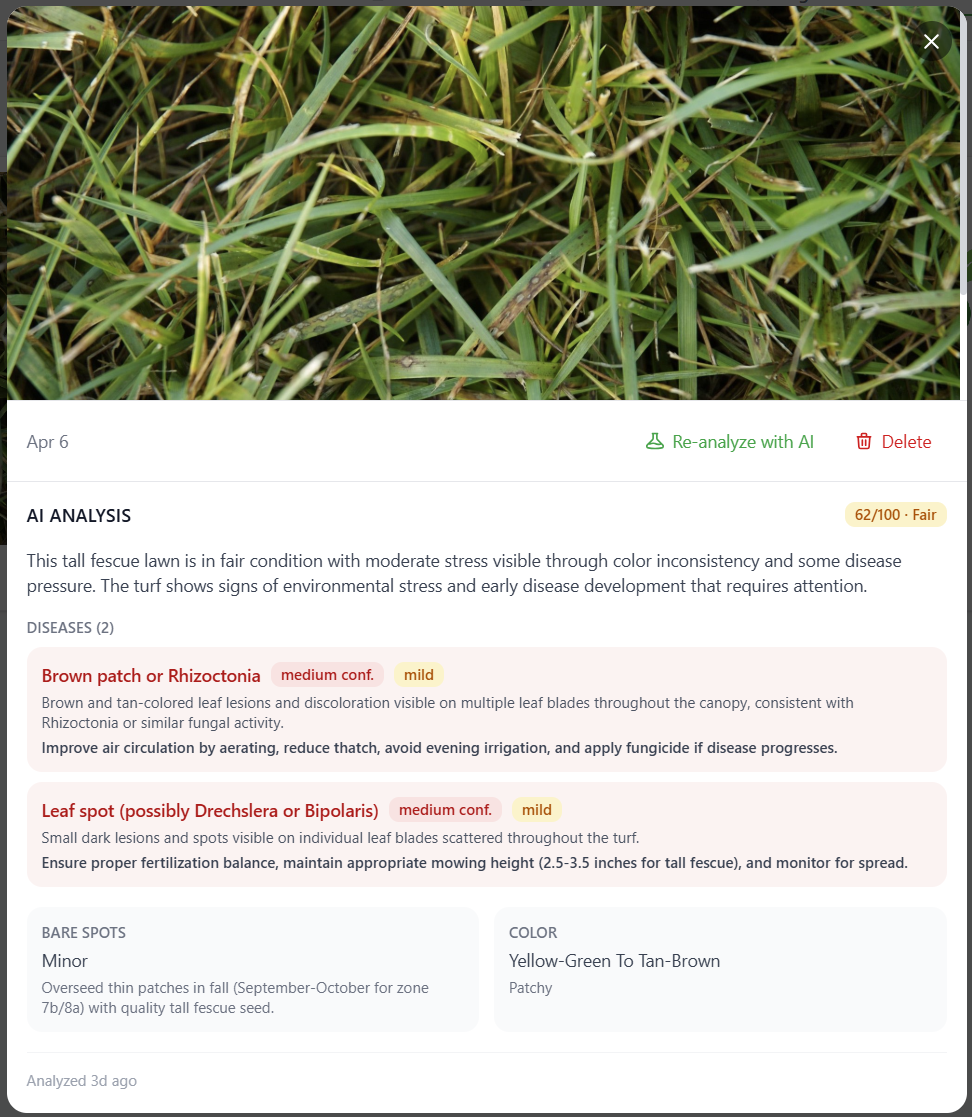 Sprigg  gallery image