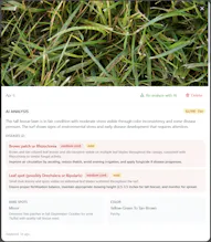 Sprigg gallery image