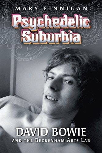 Psychedelic Suburbia gallery image