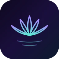 Resonance Within You logo