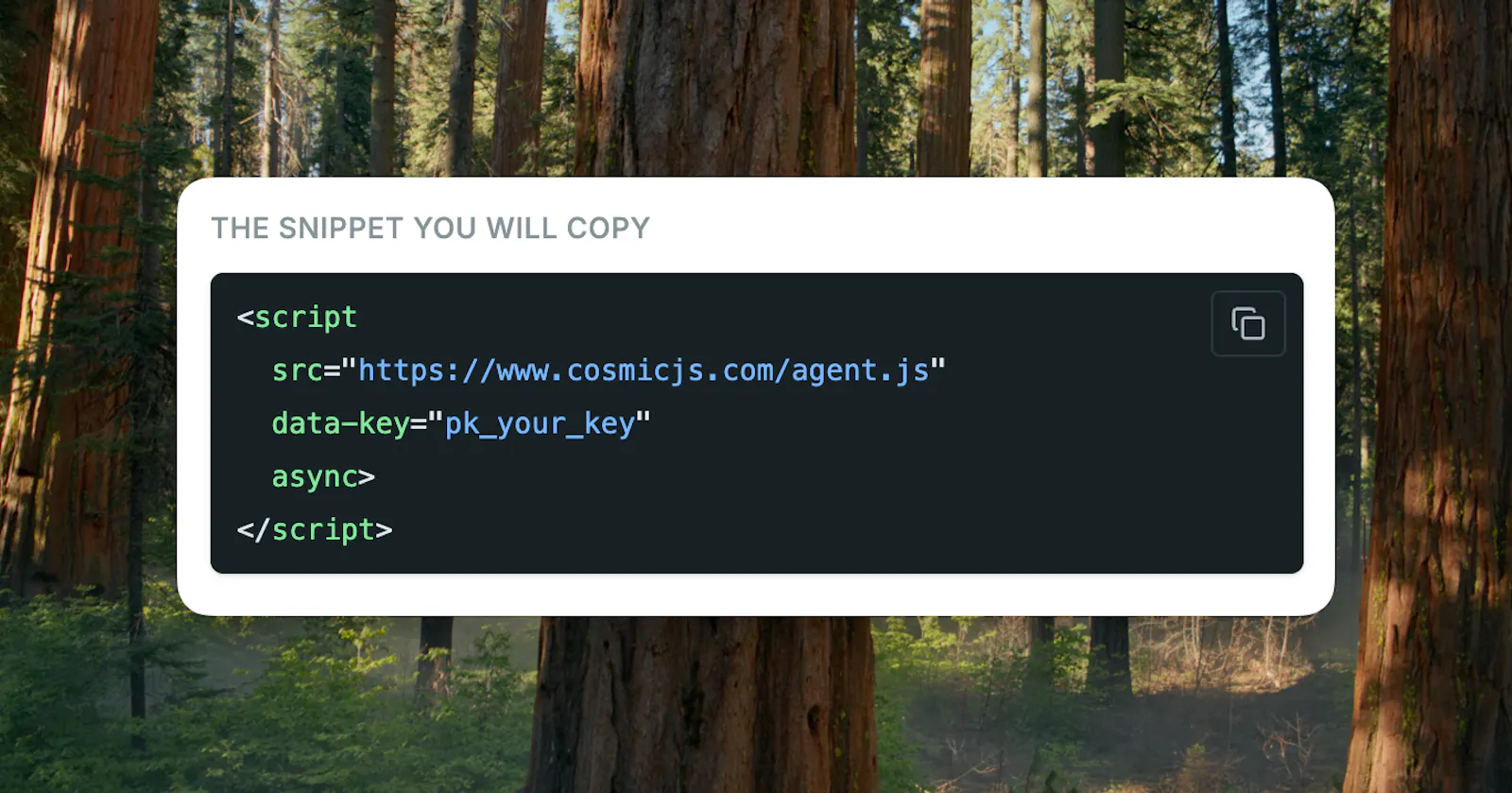 Cosmic AI Support Agent screenshot 3