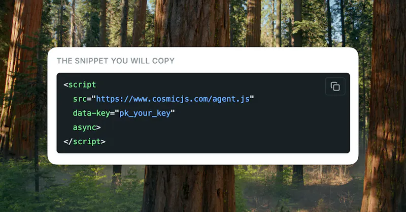 Cosmic AI Support Agent screenshot 3