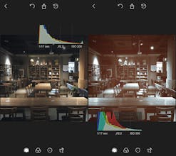 Polarr 2.0 for iOS gallery image