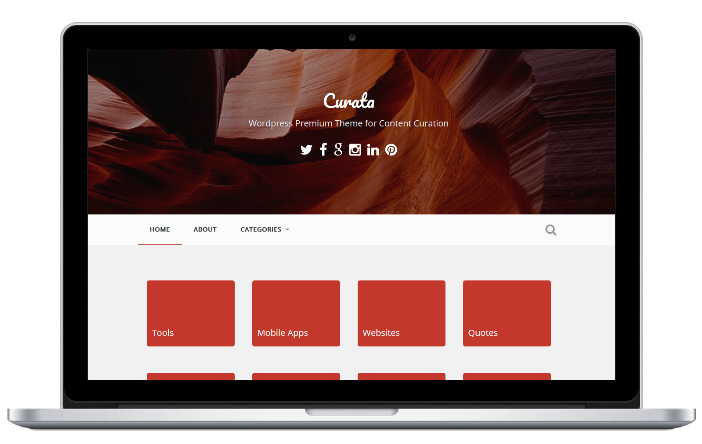 Curata gallery image