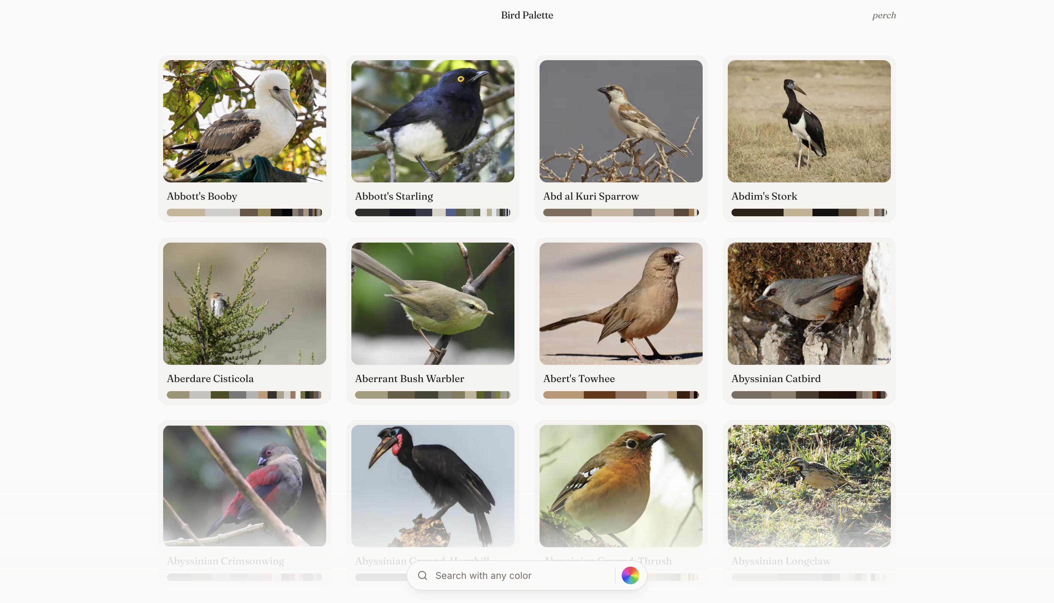 Bird Palette gallery image