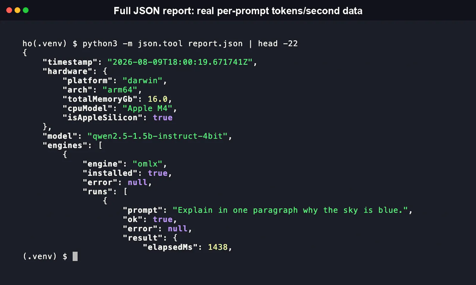 Inferbench screenshot 3