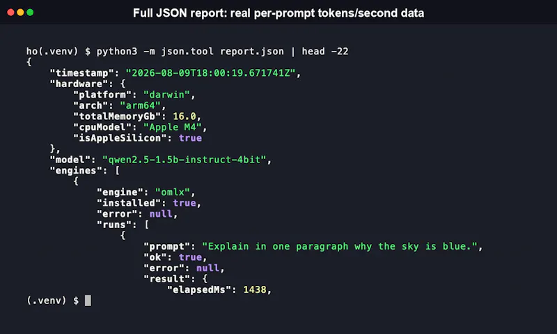 Inferbench screenshot 3
