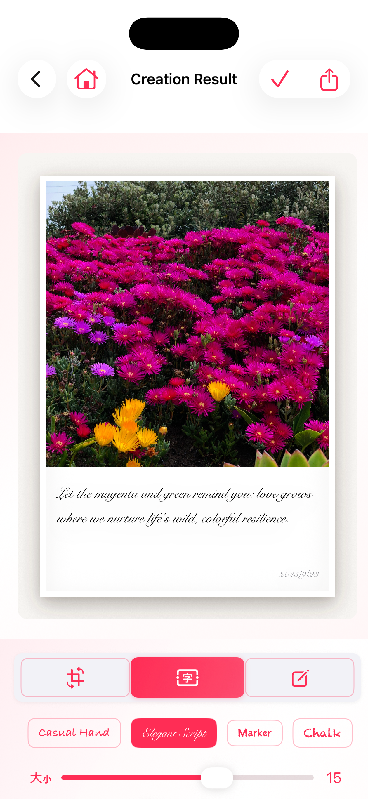 SoulSnap gallery image