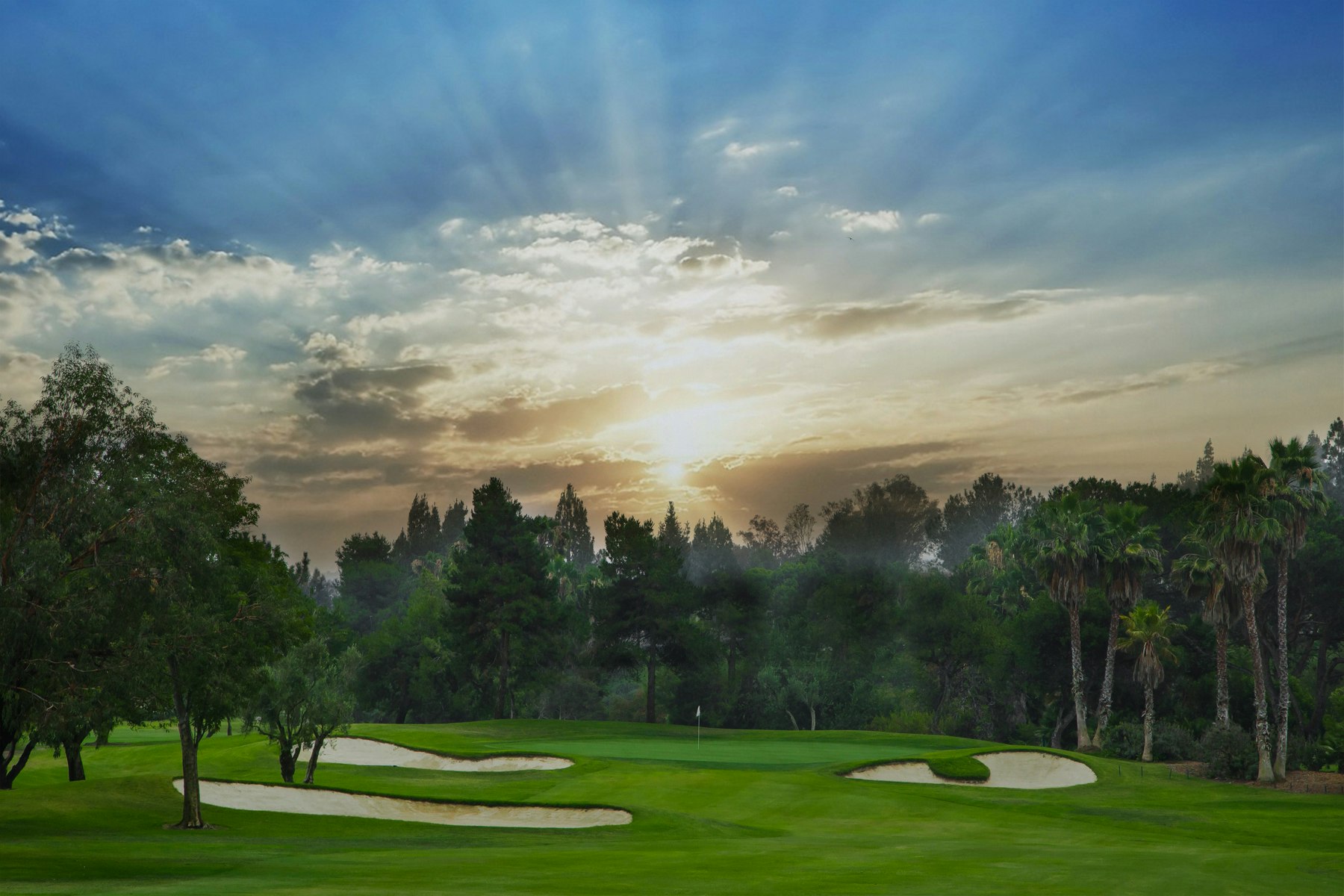 Forelinx gallery image