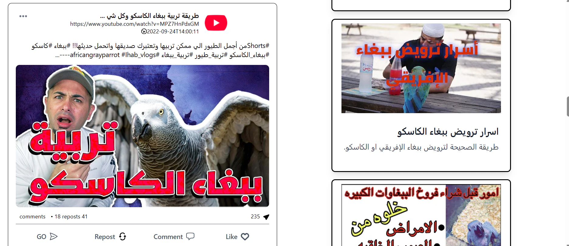 Arabinum screenshot 6