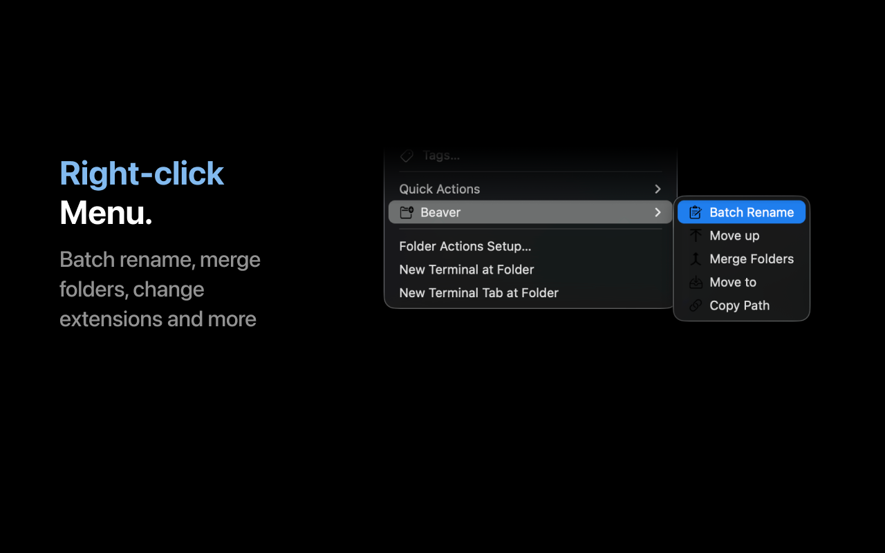 Beaver - File Manager gallery image