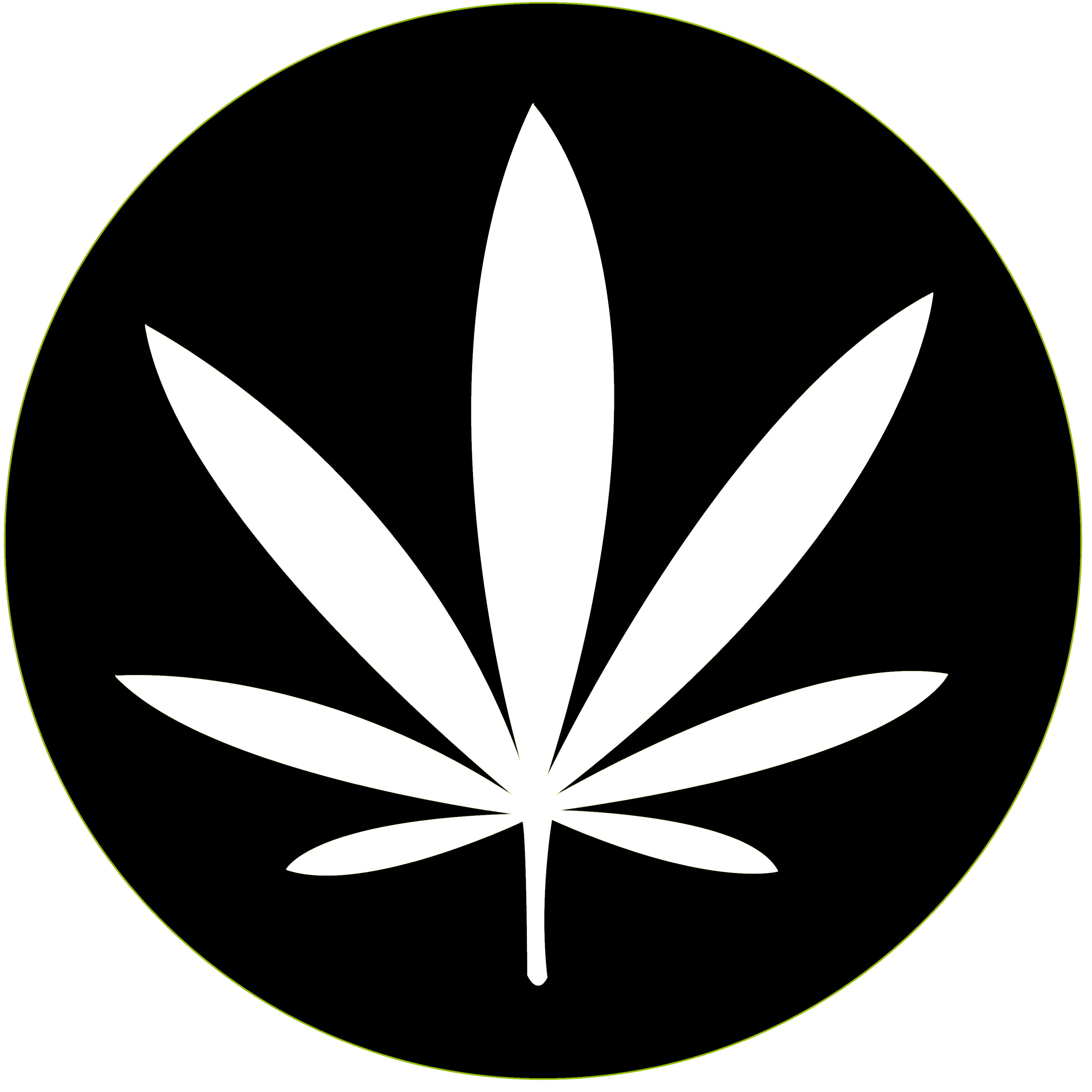 Regional COVID-19 Impact