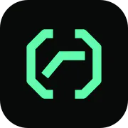 X Vision