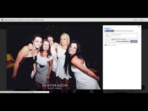 Social Gallery Pro