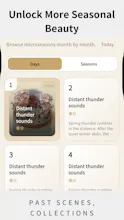 Madobe gallery image
