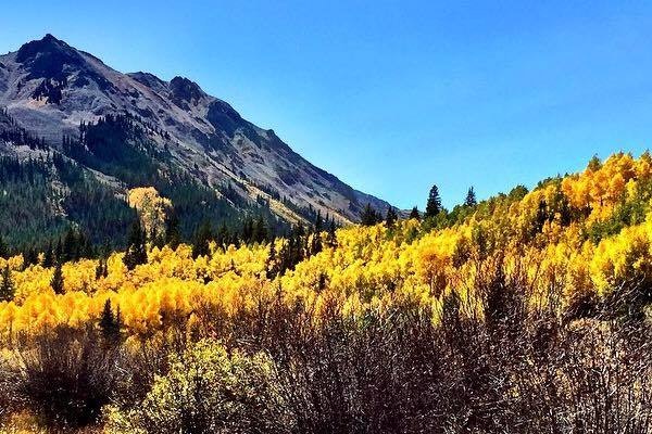 Memory Health Test gallery image