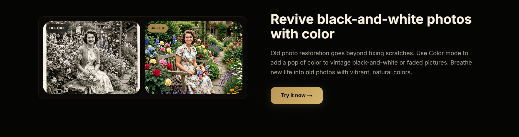 RestoR gallery image