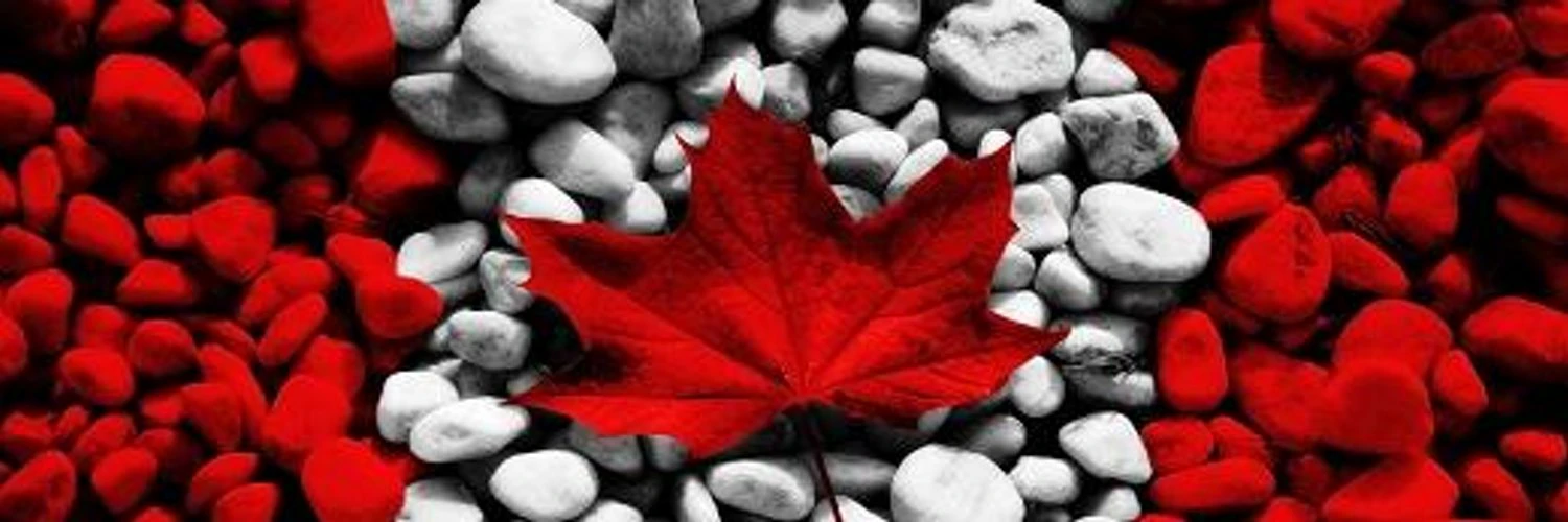 Chris Spadafora cover