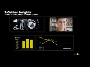 VidINsight gallery image