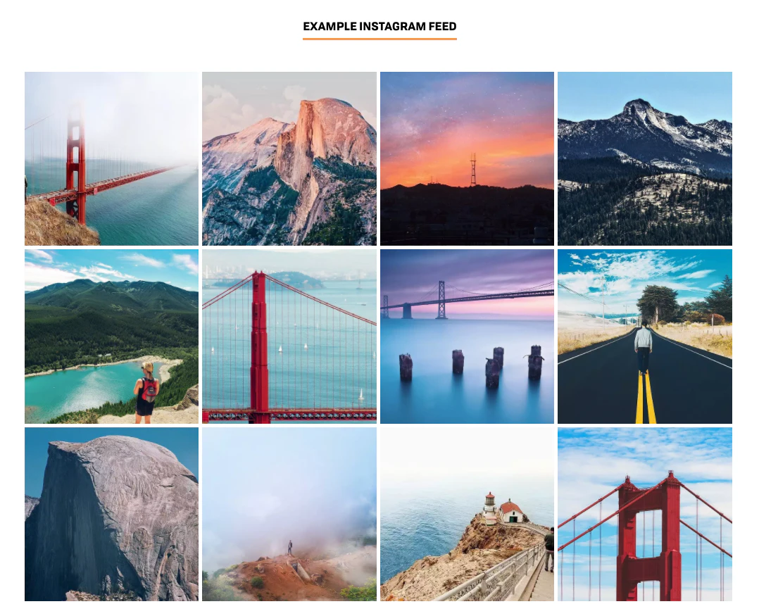 Social Feed: Free Instagram Displays for Your Website