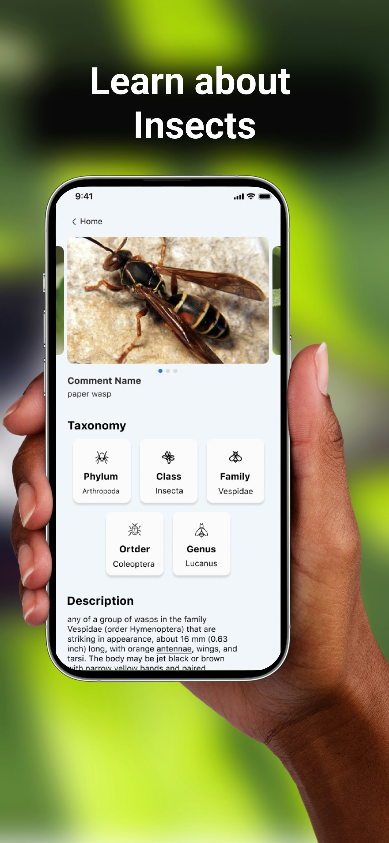 Bug Identifier : Insect ID gallery image