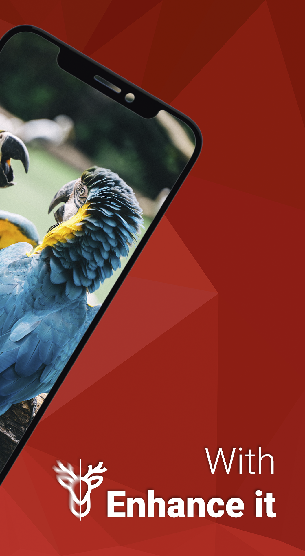 Enhance it gallery image