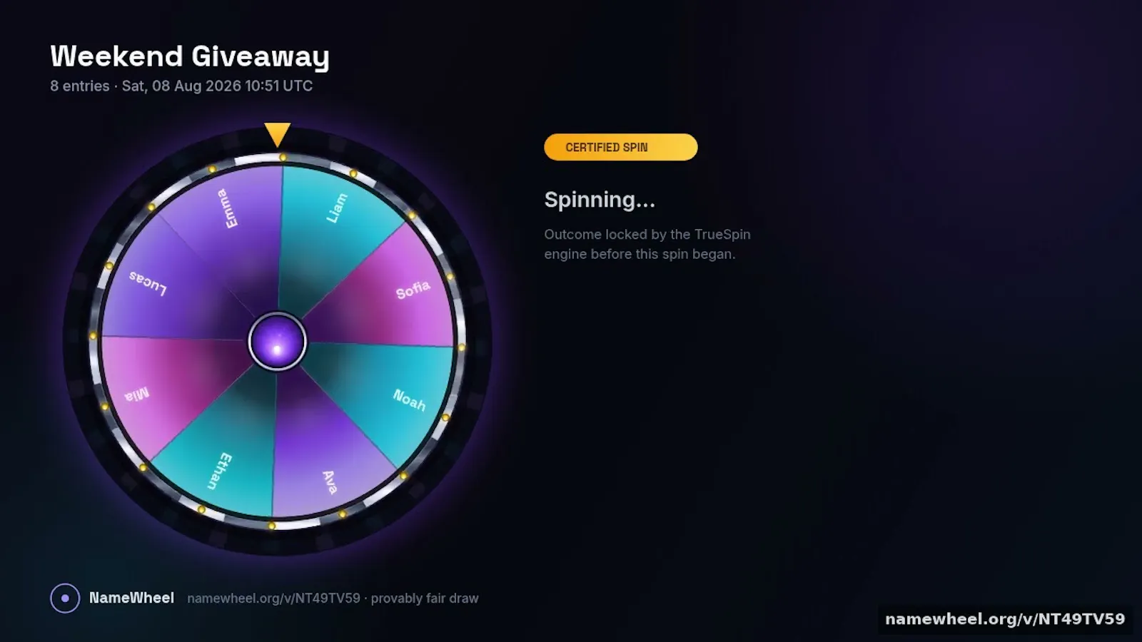 NameWheel screenshot 1 (video preview)