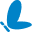 Liricare