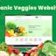 Grocery Website Template