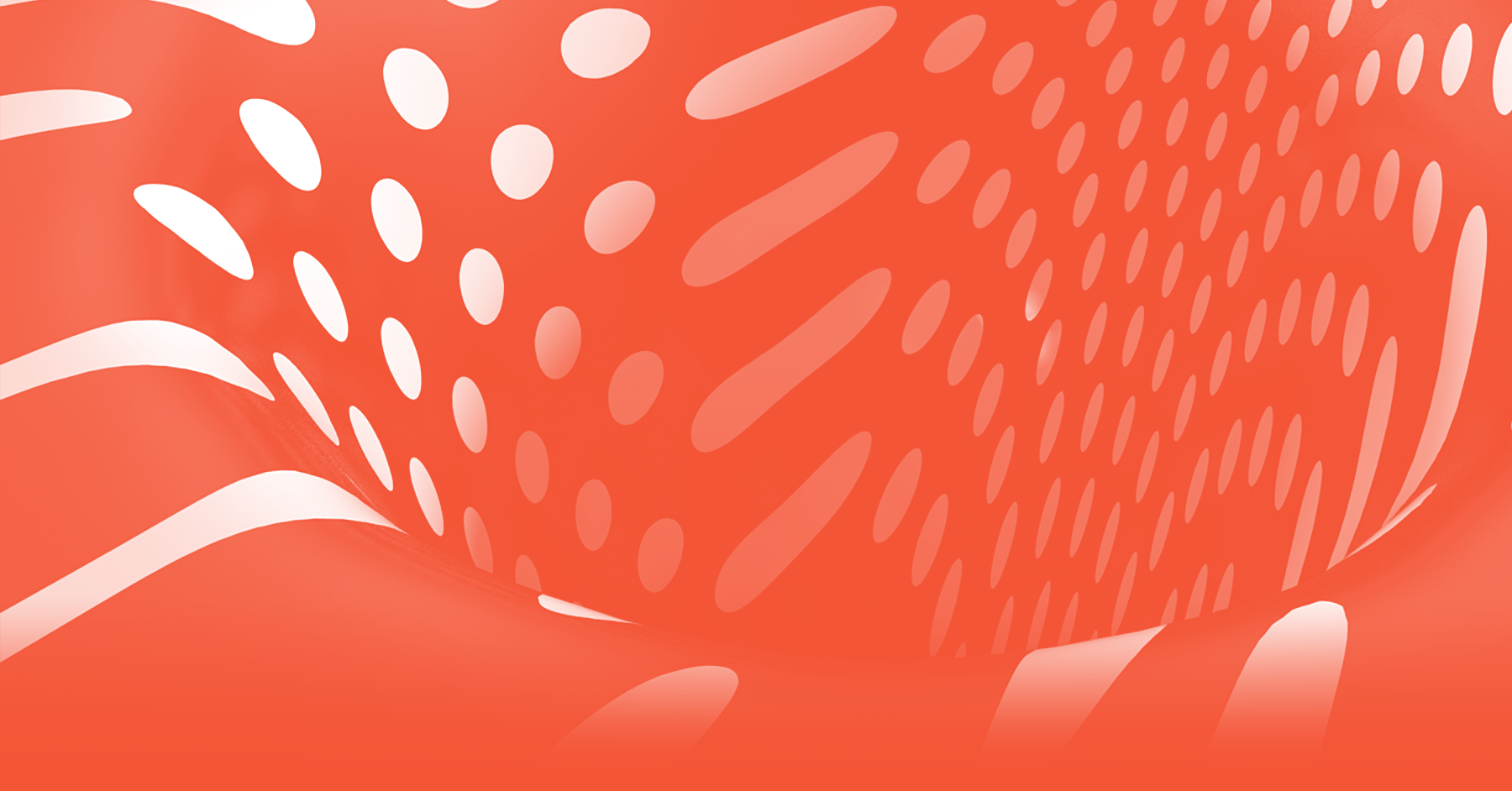 3nder 3.0 gallery image