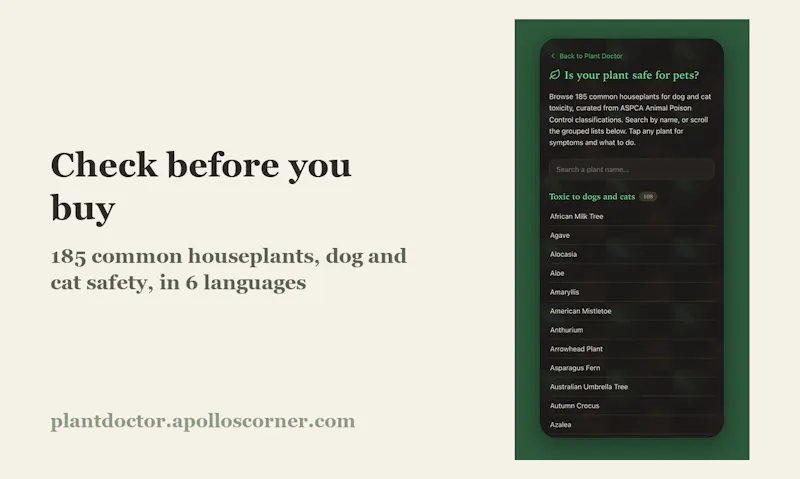 Plant Doctor screenshot 4