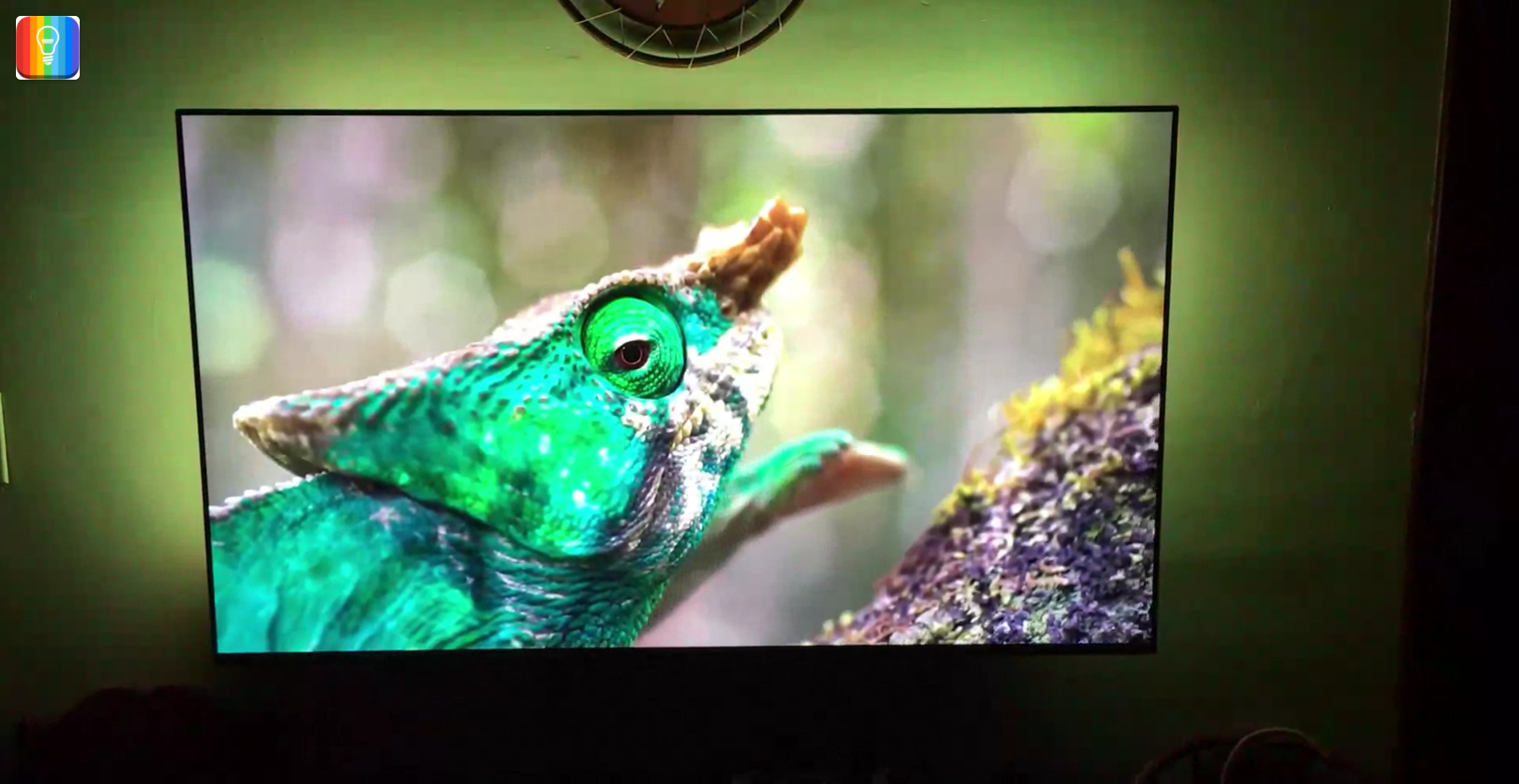 ScreenBloom gallery image