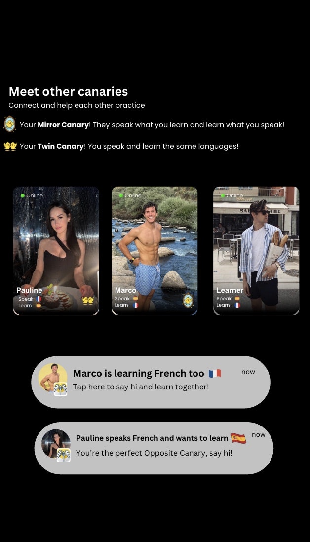 Canary gallery image