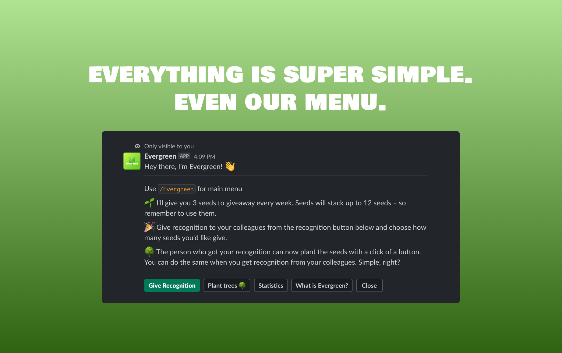 Evergreen gallery image