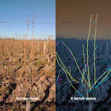 XTERROIR gallery image