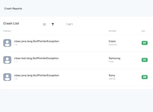 Crashguard gallery image
