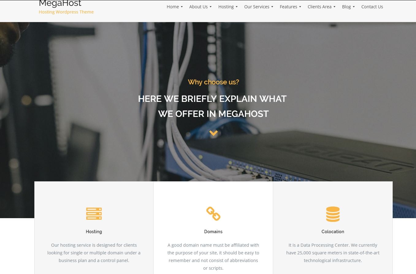 MegaHost gallery image