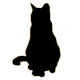 Book Chat Noir